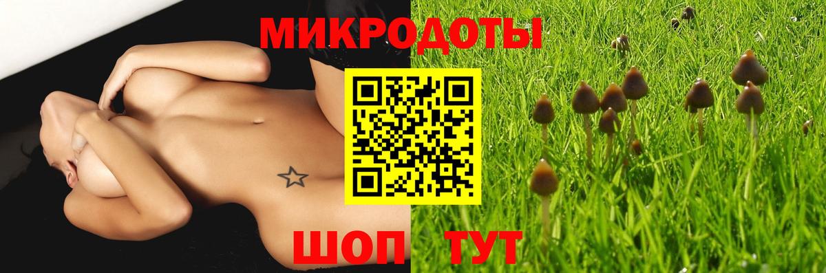 Галлюциногенные грибы Cubensis Кириши
