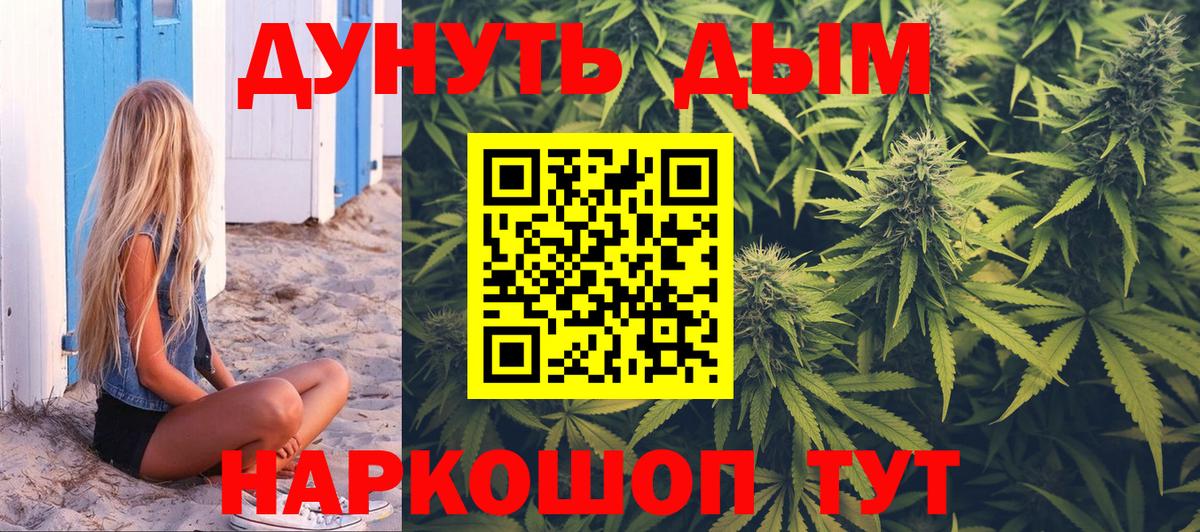 Конопля White Widow  Марихуана семена  Конопля гибрид  Кириши  Бошки Шишки SATIVA & INDICA  Вход с VPN 